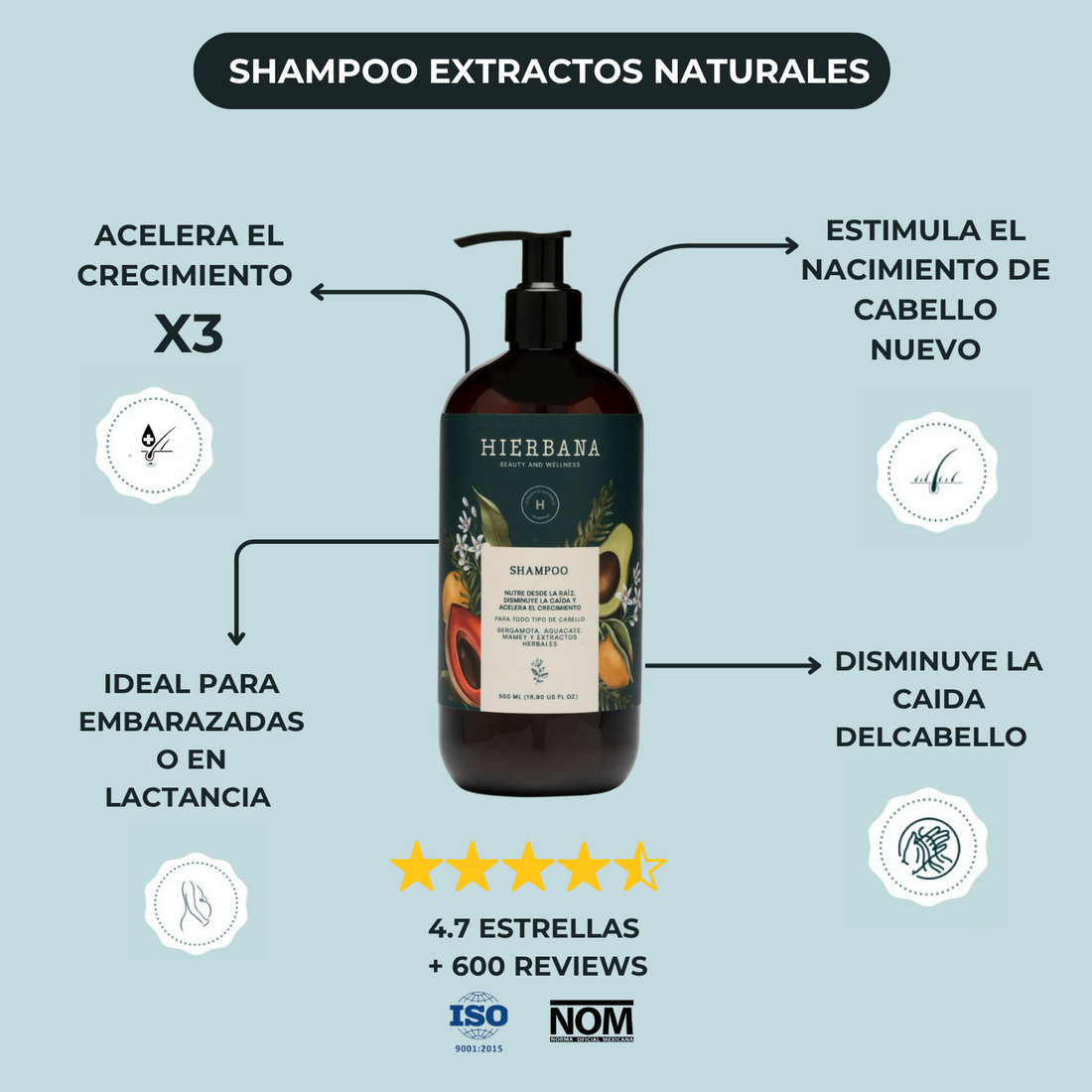 Shampoo Anticaida