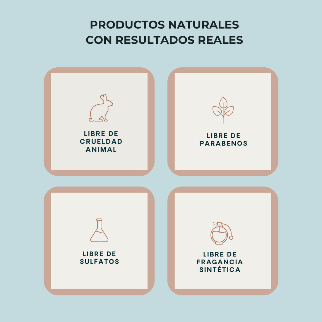 Kit Anticaida + Shampoo Suero